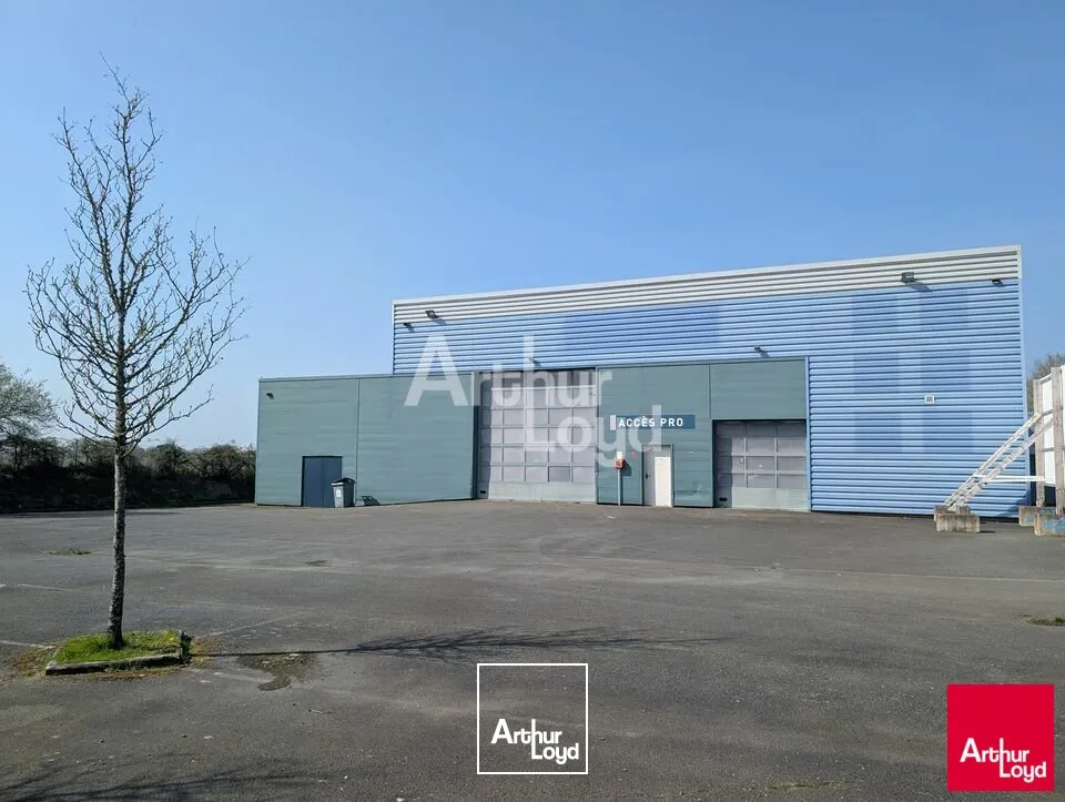 Locaux d'activité & Entrepôts - Location - VITRÉ - 35500 - 690-1500 - 7725454