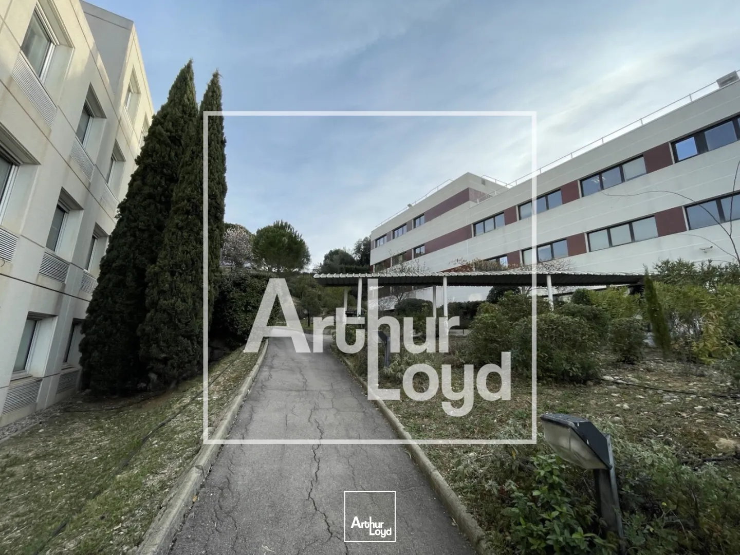 Bureaux - Vente - MONTPELLIER - 34000 - 1194-1194 - 7725578