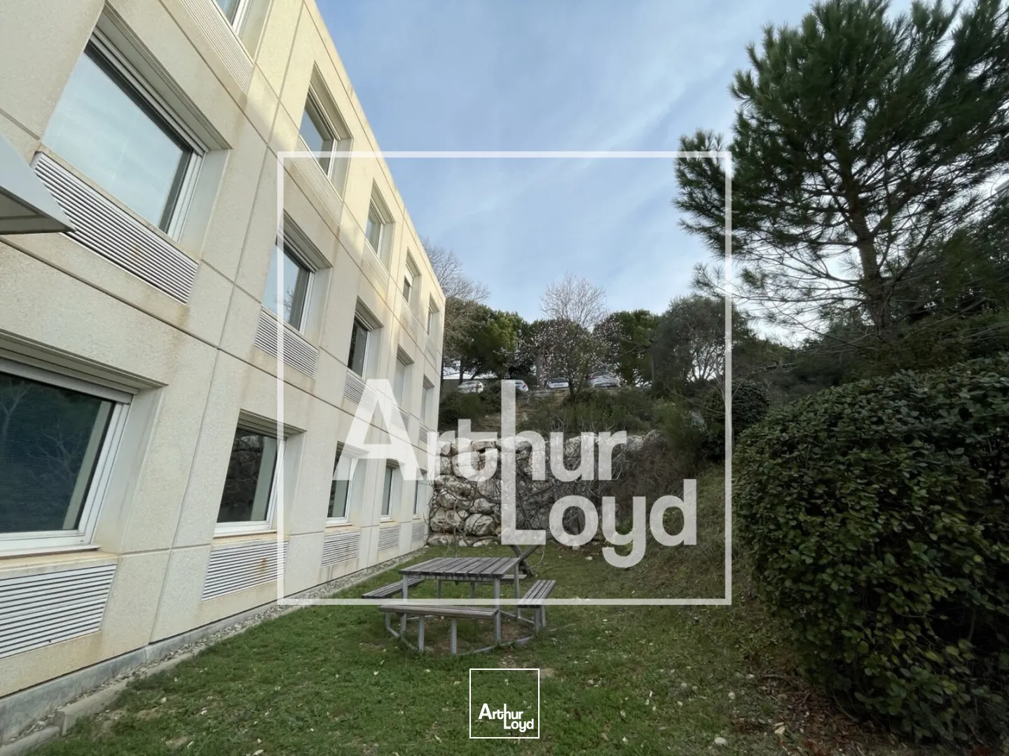 Bureaux - Vente - MONTPELLIER - 34000 - 1194-1194 - 7725579