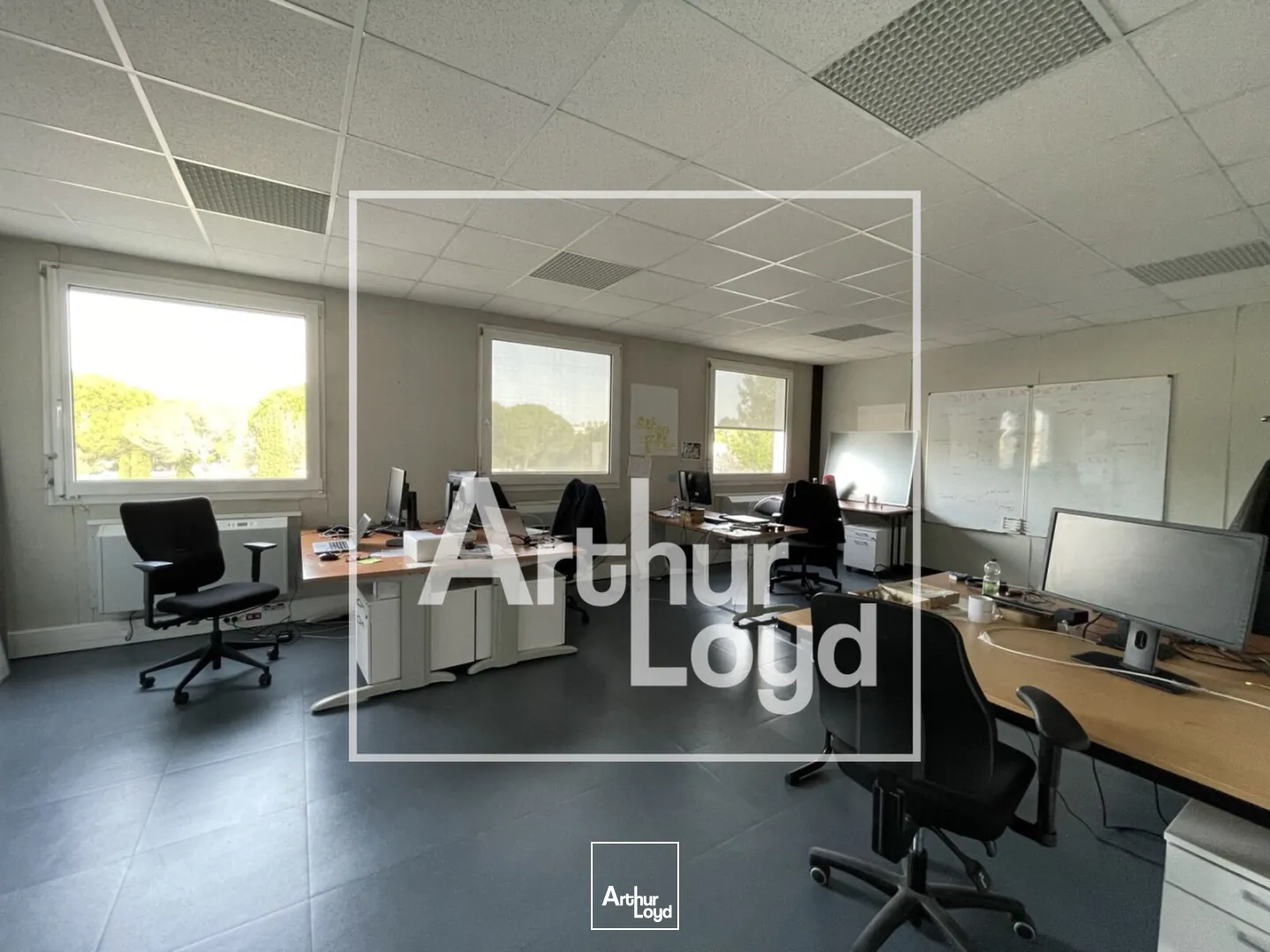 Bureaux - Vente - MONTPELLIER - 34000 - 1194-1194 - 7725583