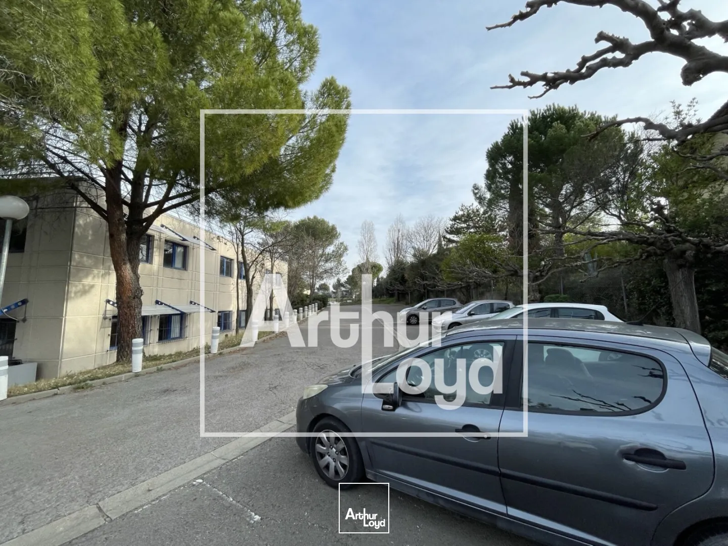 Bureaux - Vente - MONTPELLIER - 34000 - 735-1540 - 7725586