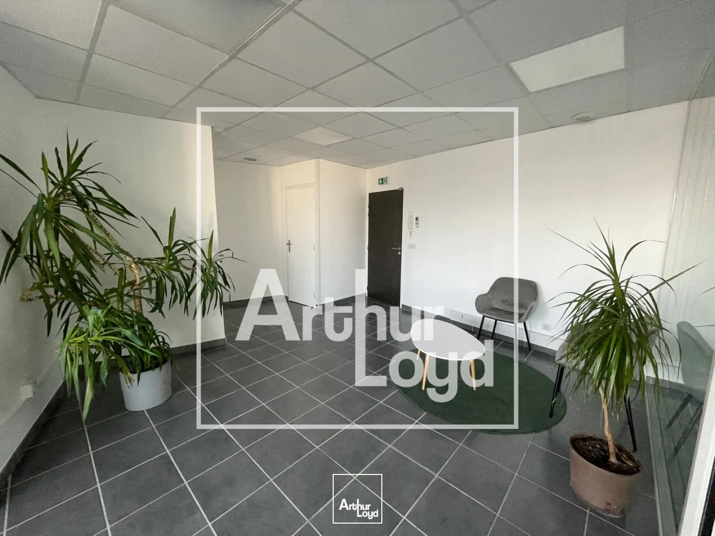 Bureaux - Location - CASTELNAU LE LEZ - 34170 - 71.57-71.57 - 7725608