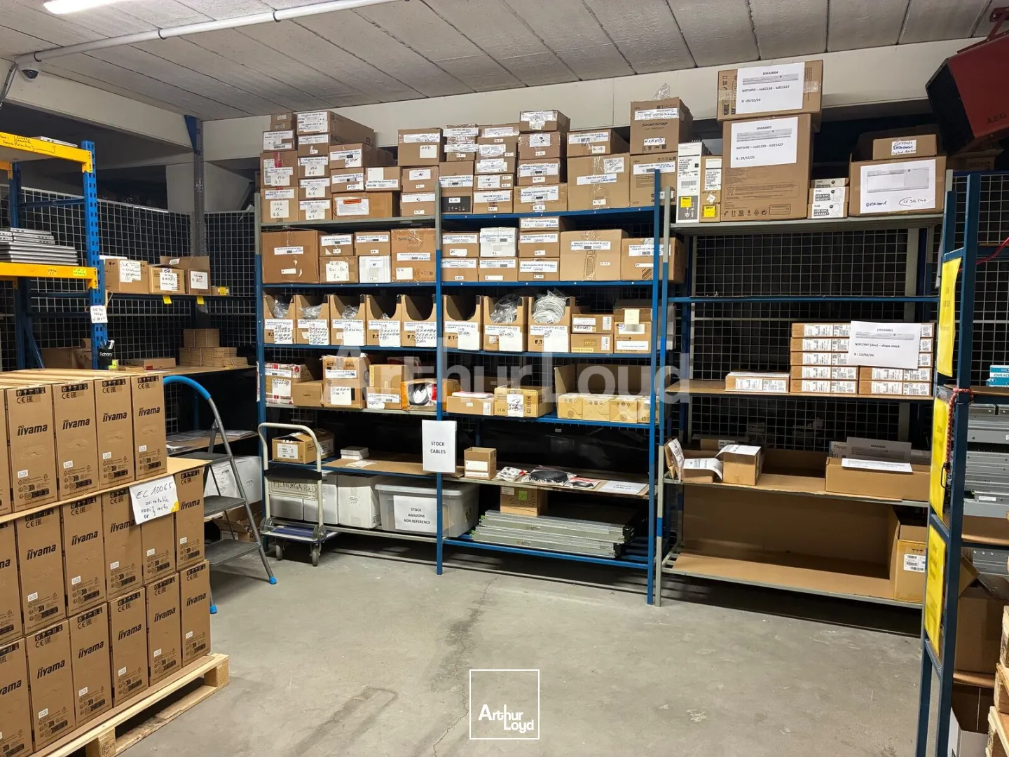 Bureaux - Vente - TEMPLEMARS - 59175 - 1600-1600 - 7725954