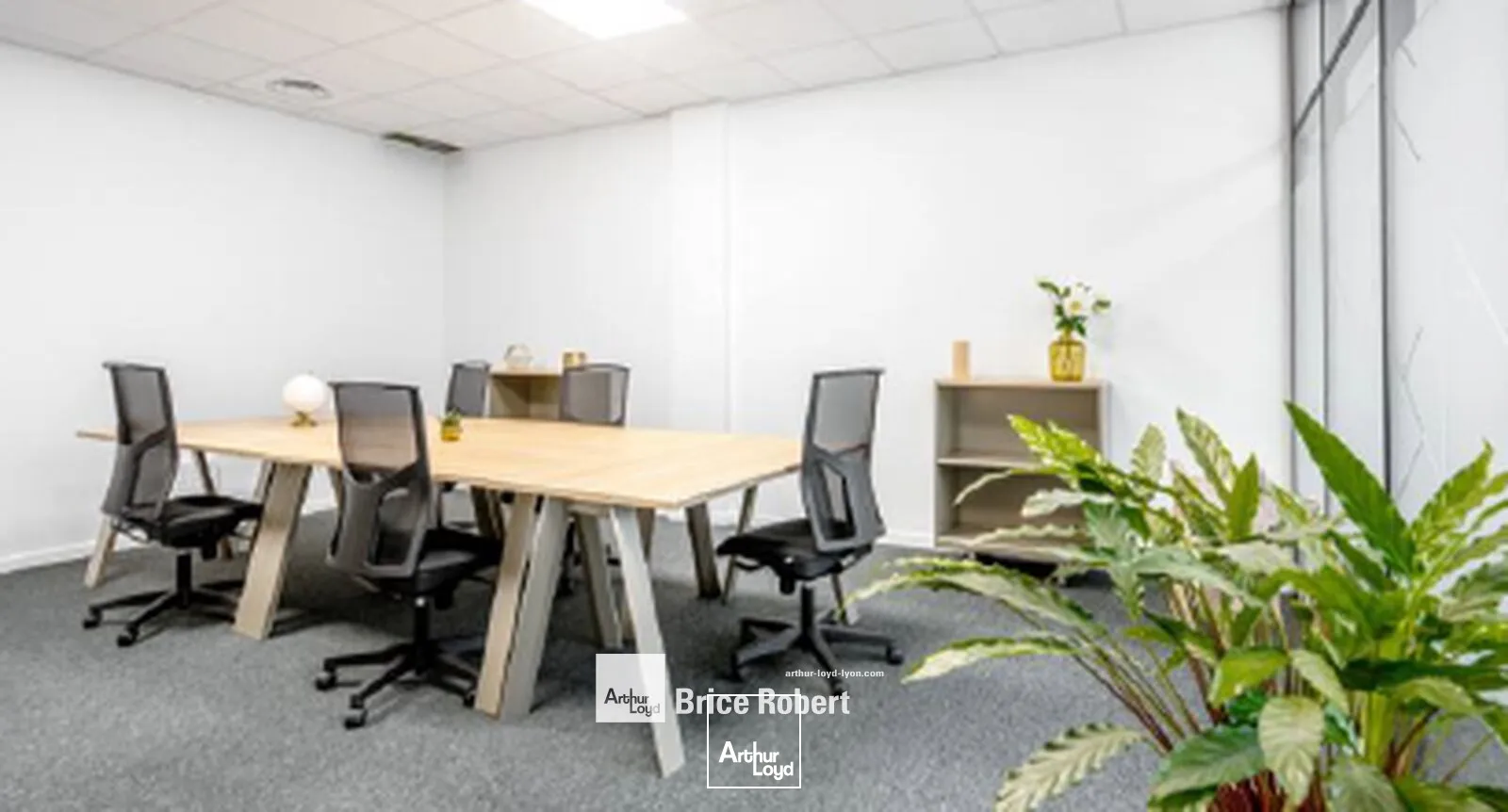 Bureaux - Location - SAINT PRIEST - 69800 - 5-221 - 7726073