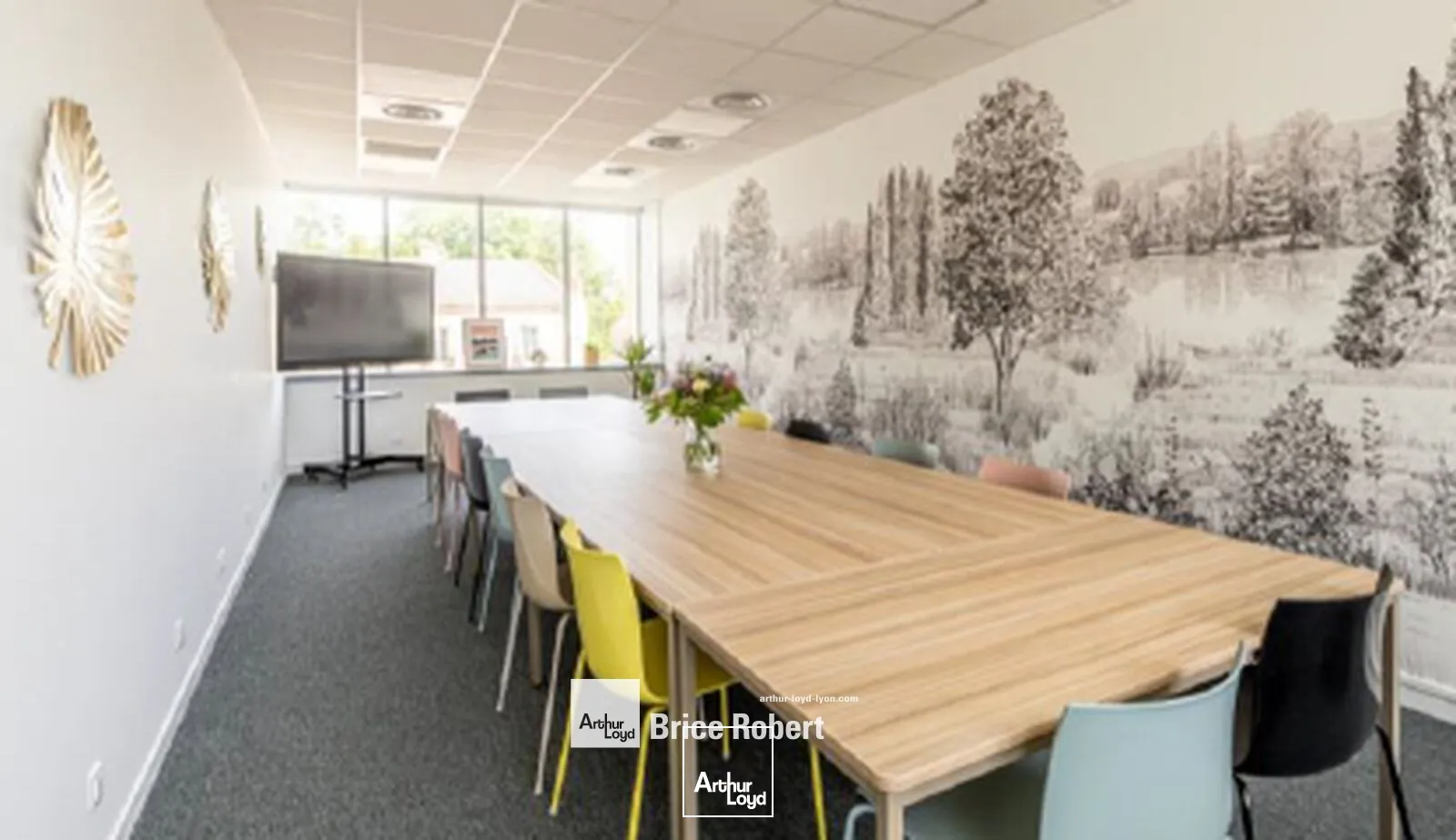 Bureaux - Location - SAINT PRIEST - 69800 - 5-221 - 7726075