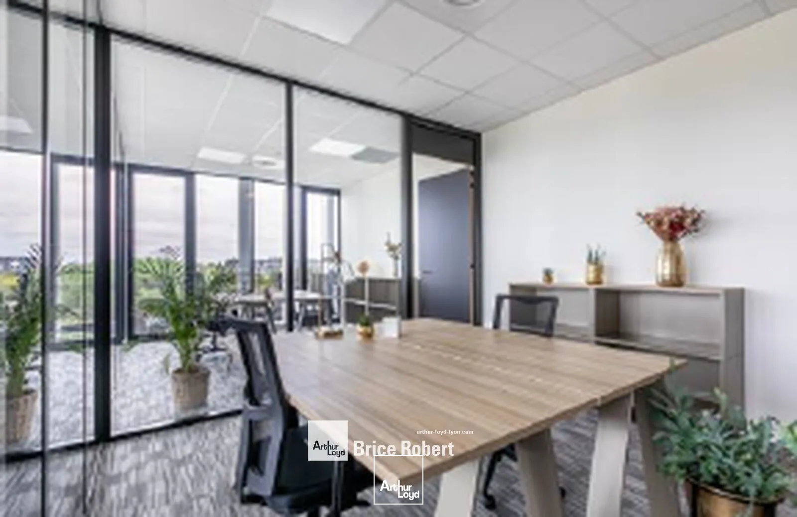 Bureaux - Location - SAINT PRIEST - 69800 - 5-221 - 7726076