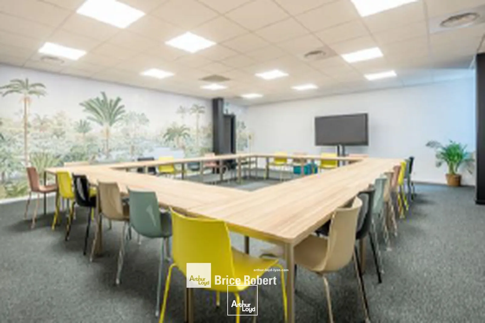 Bureaux - Location - SAINT PRIEST - 69800 - 5-221 - 7726077