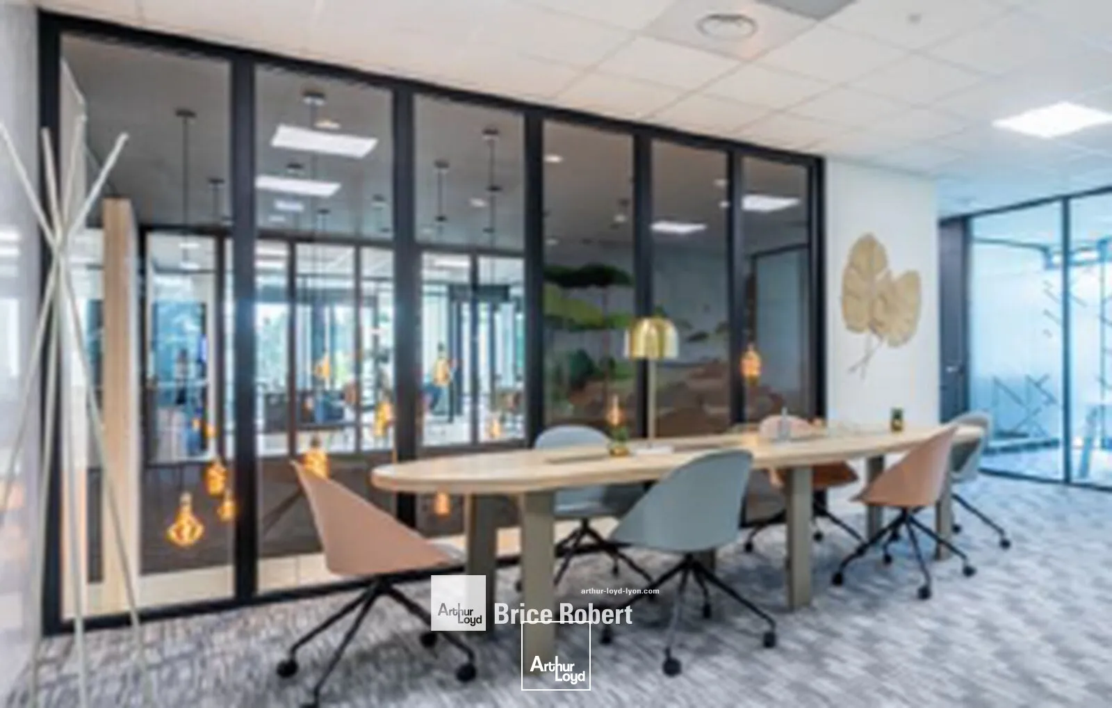 Bureaux - Location - SAINT PRIEST - 69800 - 5-221 - 7726078