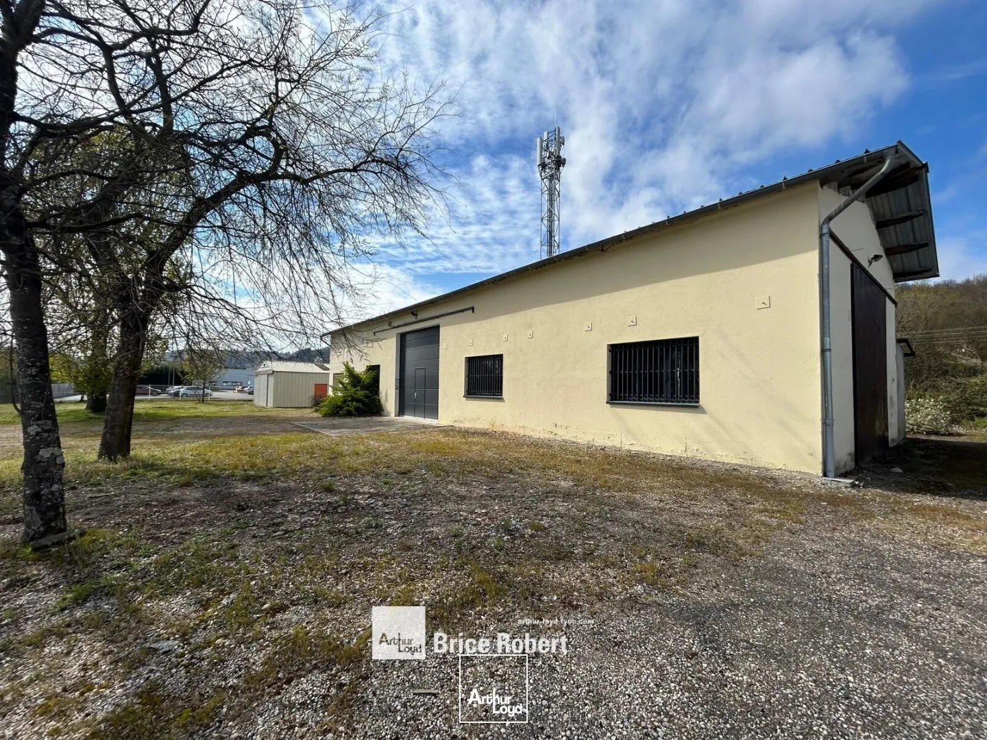 Locaux d'activité & Entrepôts - Location - NEYRON - 01700 - 1650-1650 - 7726093