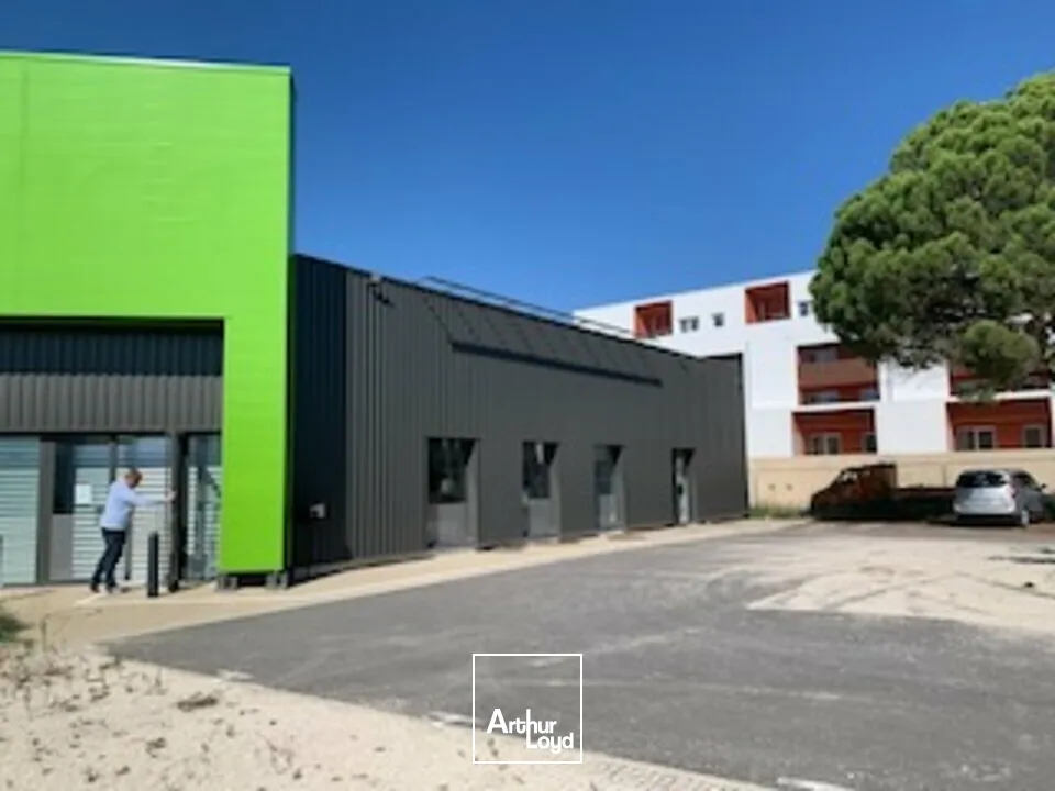 Locaux commerciaux - Vente - AVIGNON - 84000 - 626-626 - 7726205
