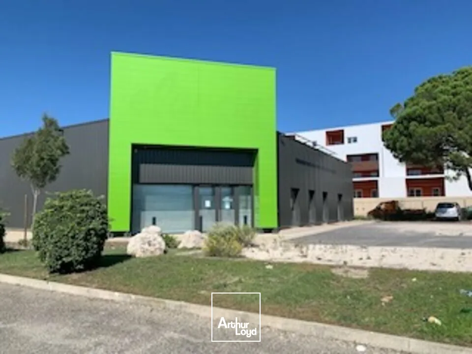Locaux commerciaux - Vente - AVIGNON - 84000 - 626-626 - 7726207