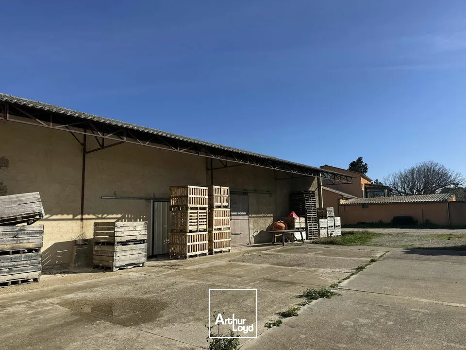 Locaux d'activité & Entrepôts - Location - MONTEUX - 84170 - 500-500 - 7726213