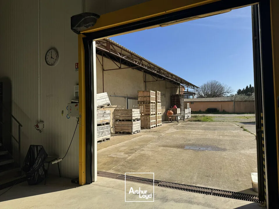 Locaux d'activité & Entrepôts - Location - MONTEUX - 84170 - 500-500 - 7726214