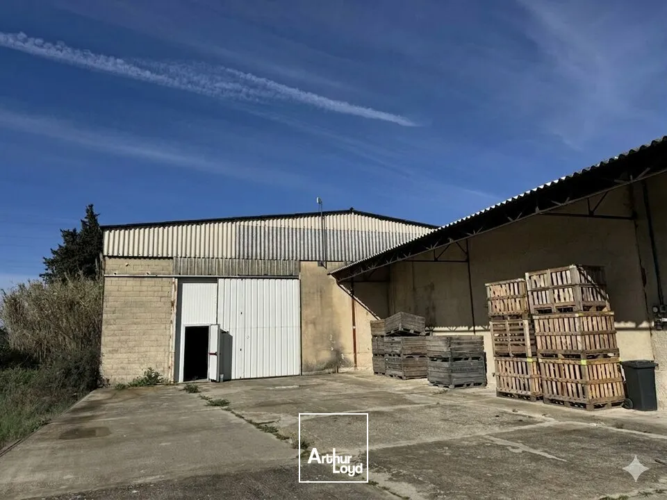 Locaux d'activité & Entrepôts - Location - MONTEUX - 84170 - 500-500 - 7726212