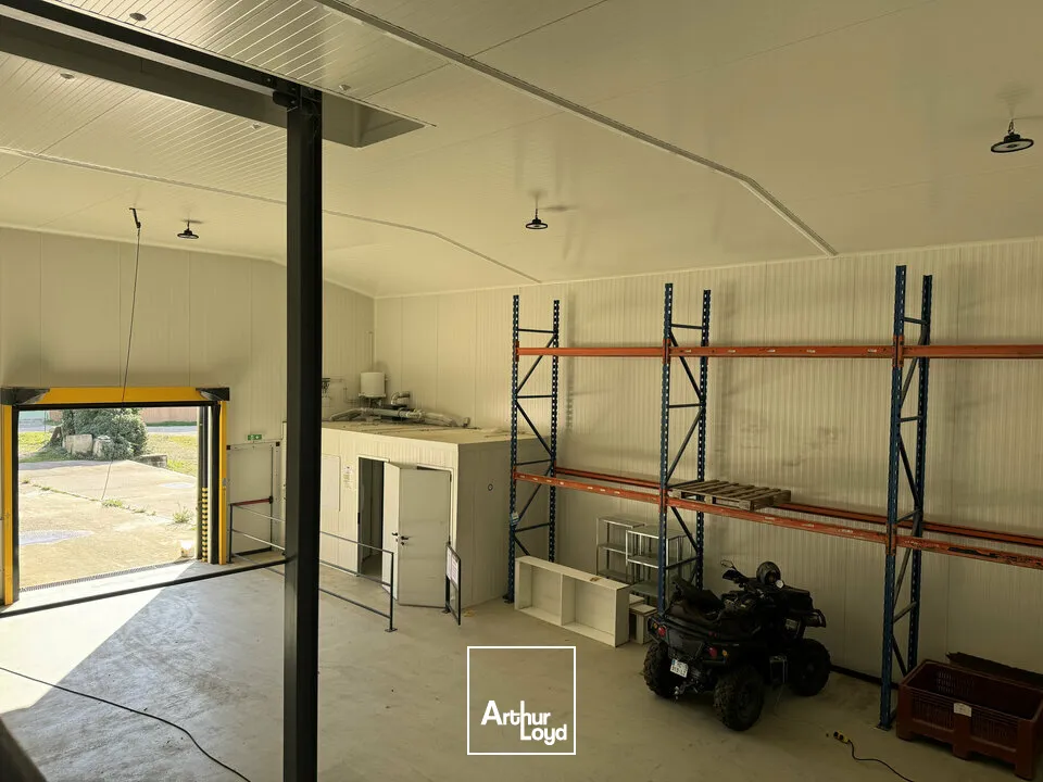 Locaux d'activité & Entrepôts - Location - MONTEUX - 84170 - 500-500 - 7726219