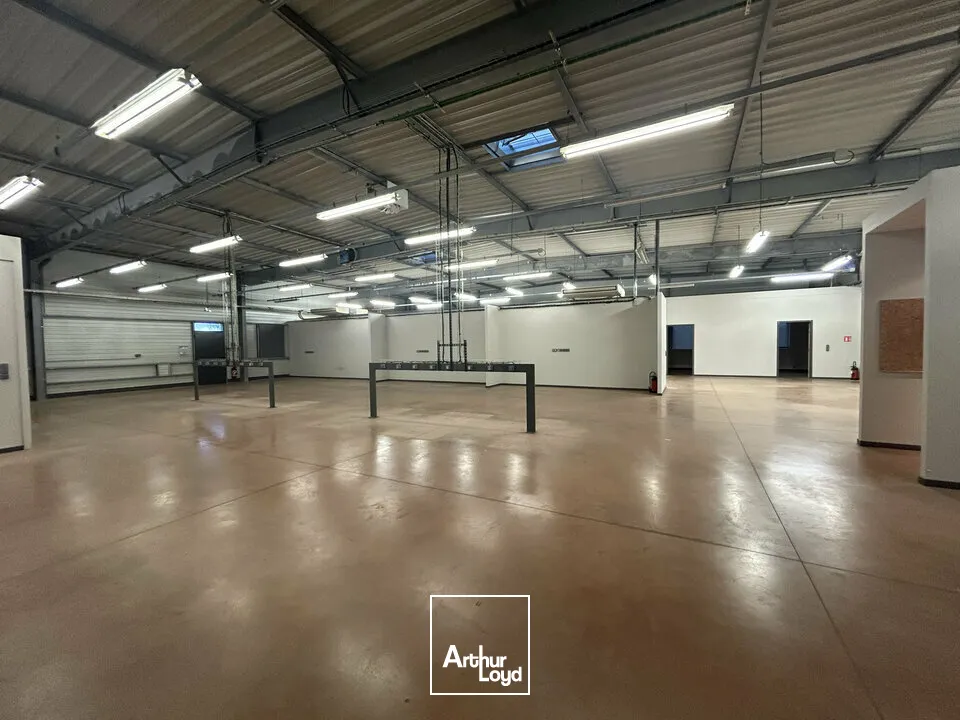 Locaux d'activité & Entrepôts - Location - FAMECK - 57290 - 1200-1200 - 7726229