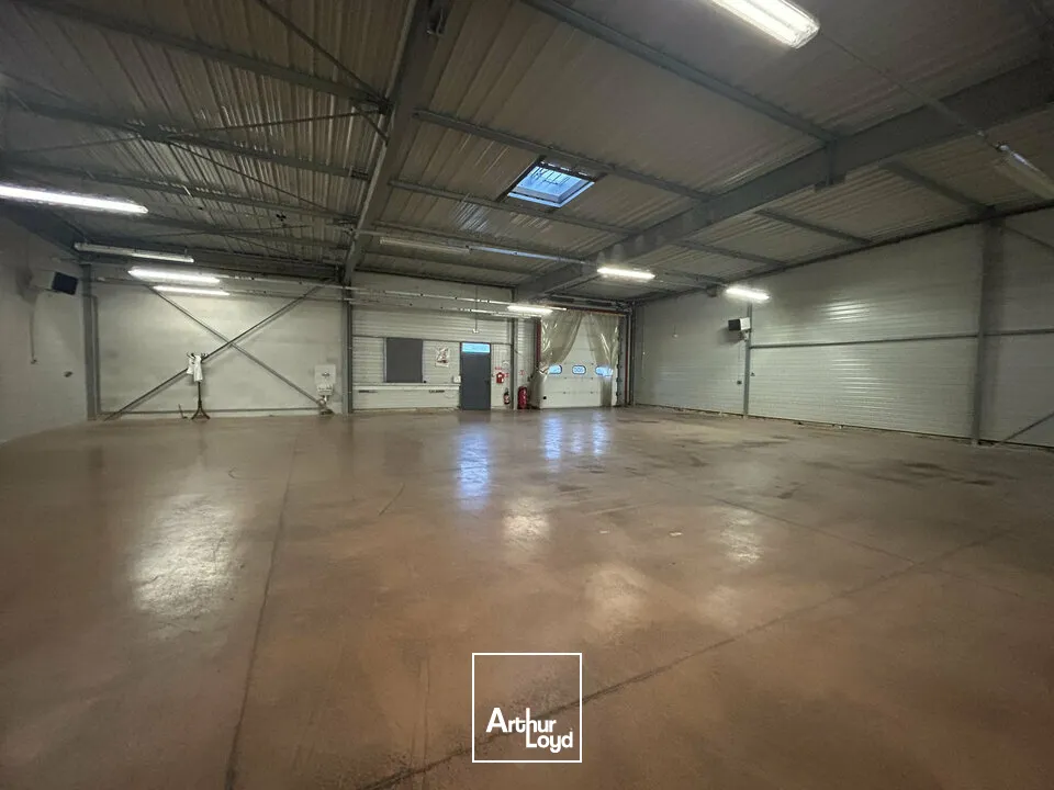 Locaux d'activité & Entrepôts - Location - FAMECK - 57290 - 1200-1200 - 7726231