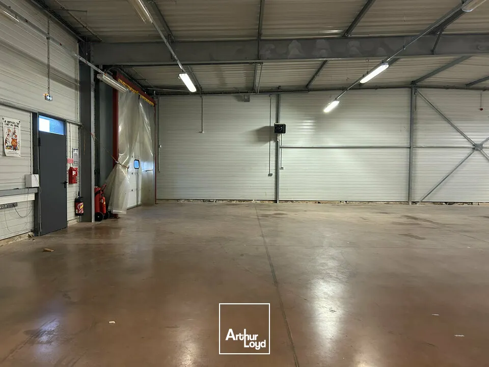 Locaux d'activité & Entrepôts - Location - FAMECK - 57290 - 1200-1200 - 7726233