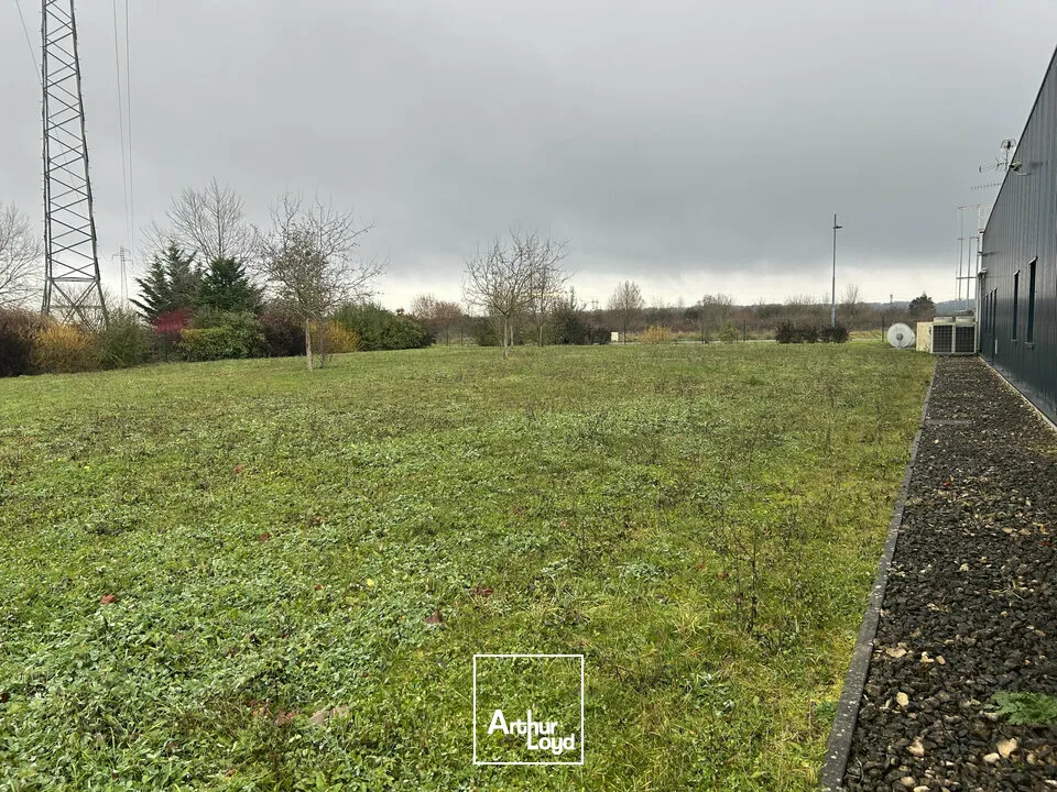 Locaux d'activité & Entrepôts - Location - FAMECK - 57290 - 1200-1200 - 7726234