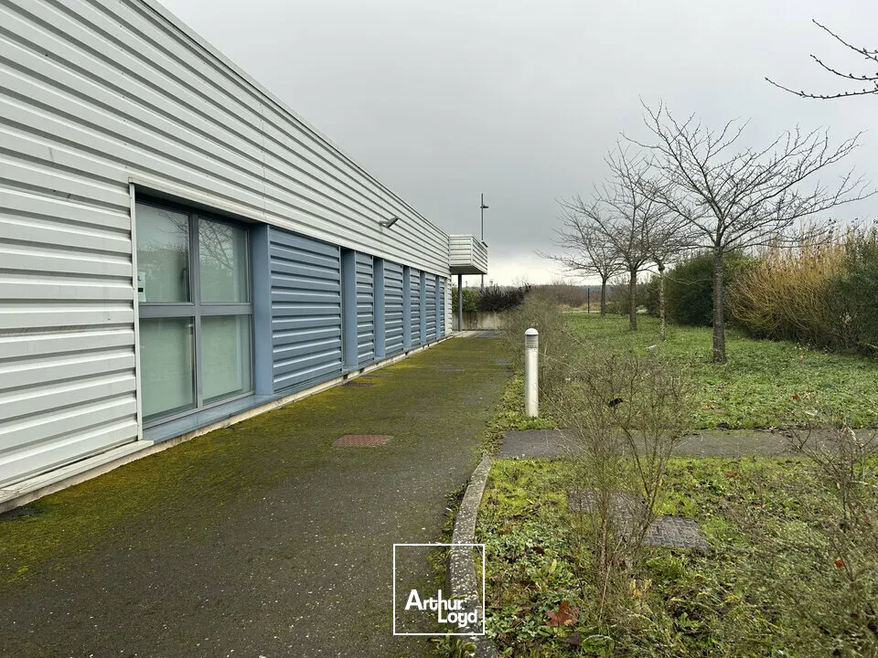 Locaux d'activité & Entrepôts - Location - FAMECK - 57290 - 1200-1200 - 7726228