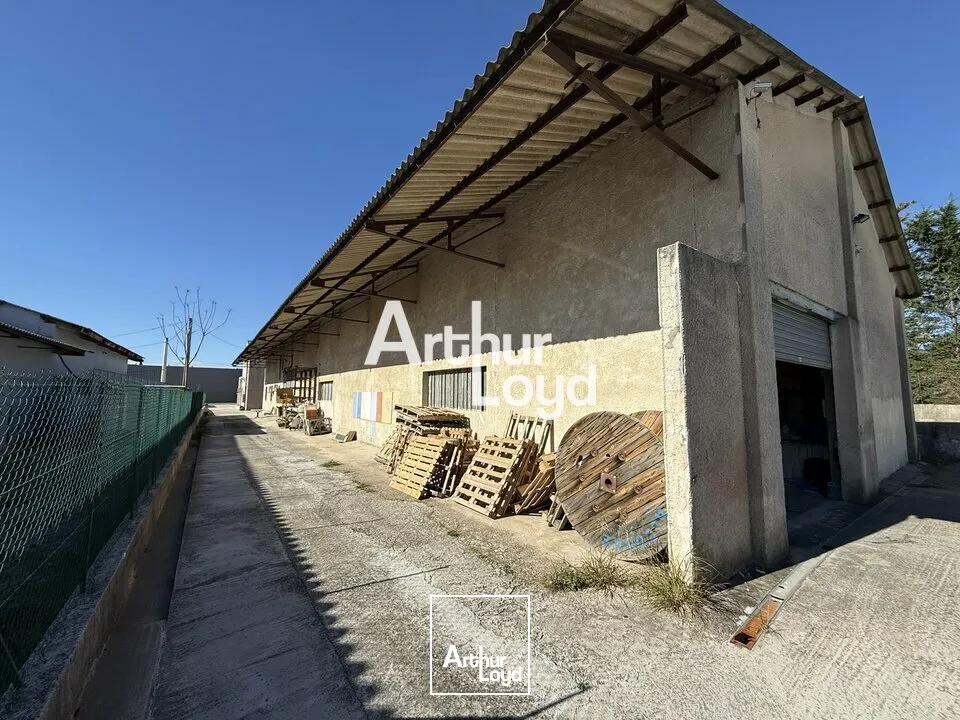 Locaux d'activité & Entrepôts - Location - LE MUY - 83490 - 800-800 - 7726265