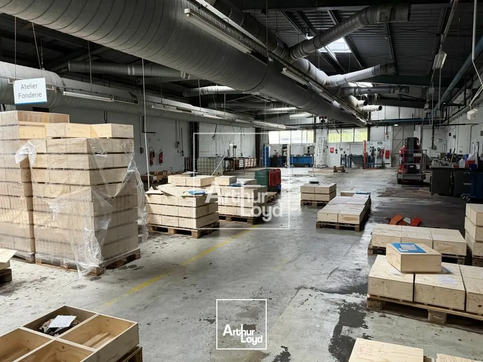 Locaux d'activité & Entrepôts - Vente - VAUX-LE-PÉNIL - 77000 - 3700-3700 - 7726482