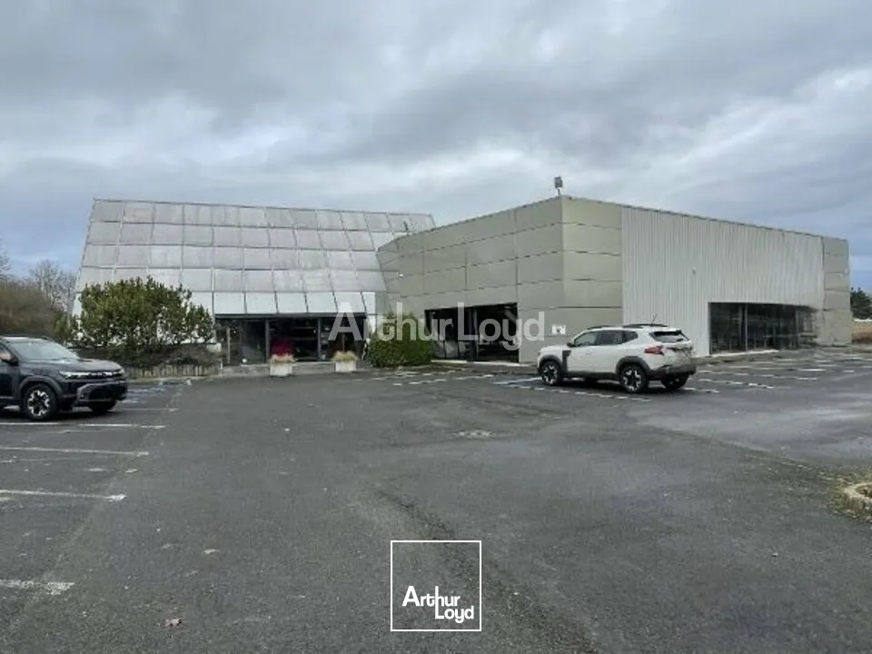 Locaux commerciaux - Location - REIMS - 51100 - 1700-1700 - 7726542