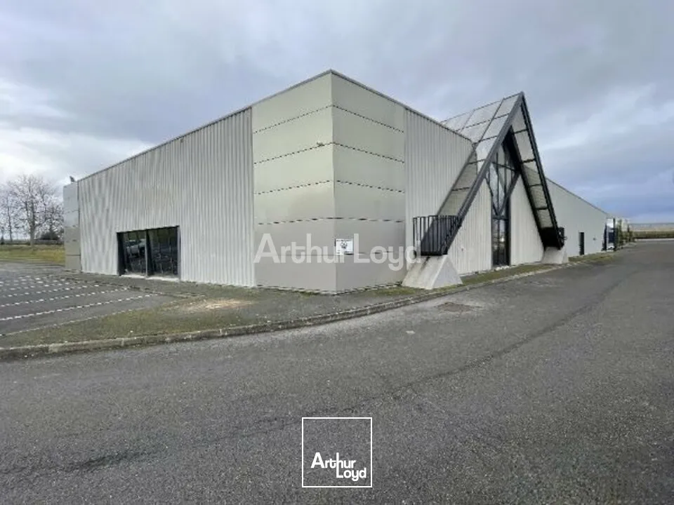Locaux commerciaux - Location - REIMS - 51100 - 1700-1700 - 7726540