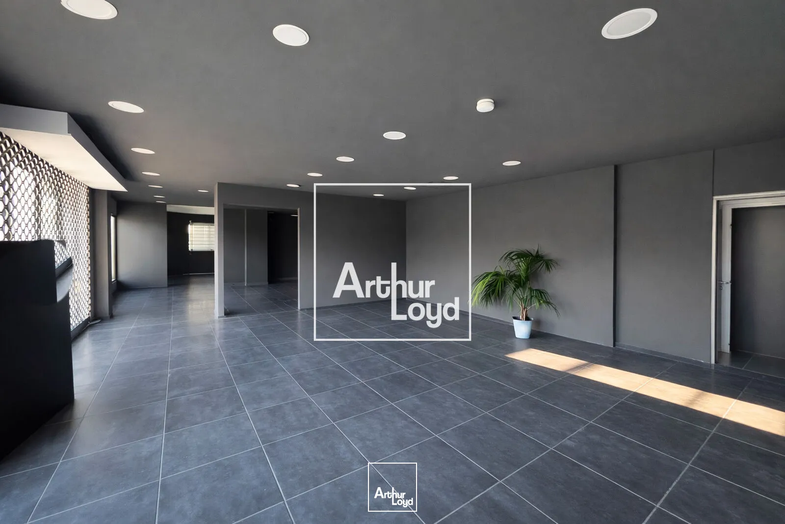 Locaux commerciaux - Location - NIMES - 30900 - 222-222 - 7726700