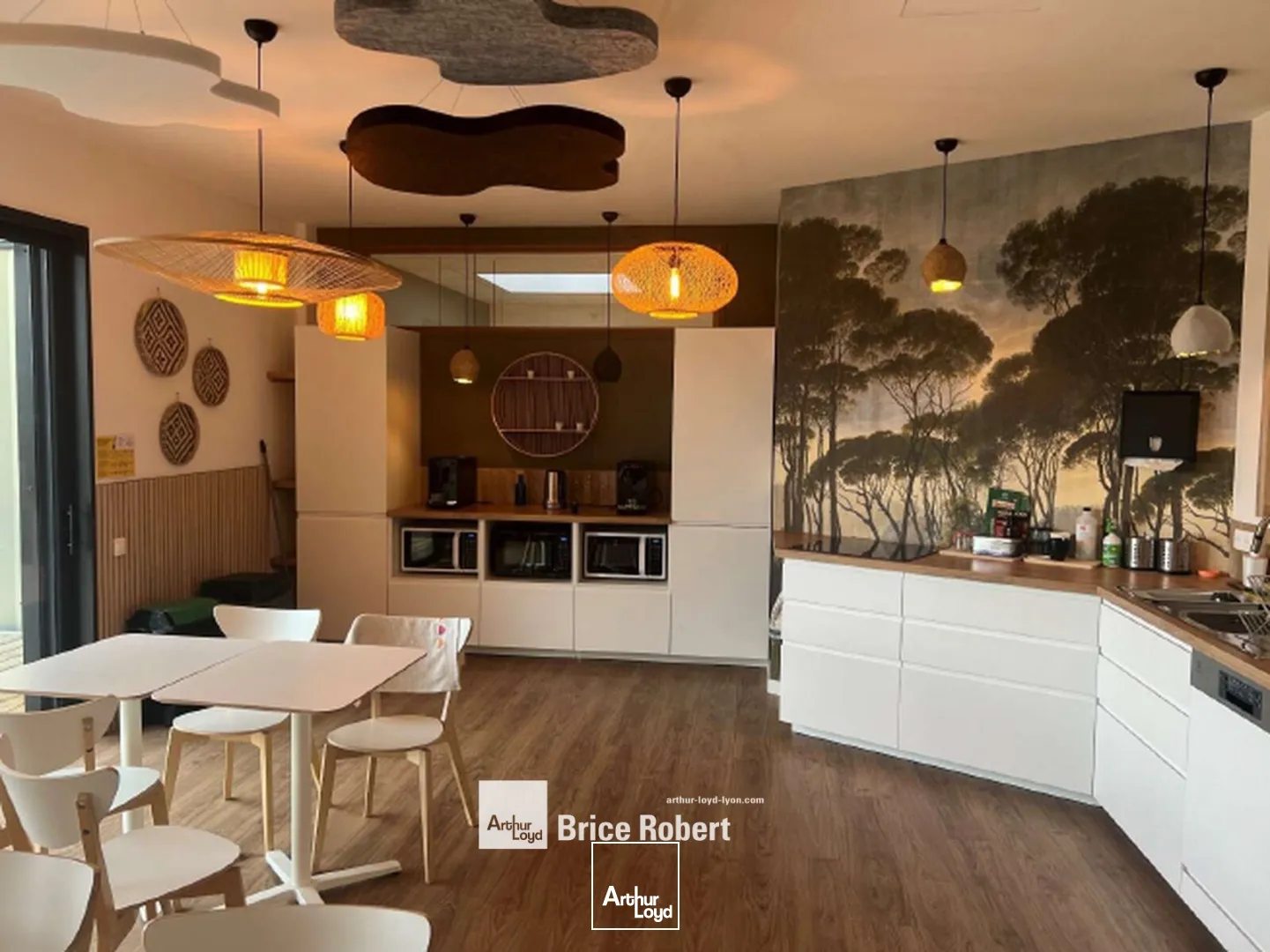 Bureaux - Vente - TASSIN LA DEMI LUNE - 69160 - 25-163.68 - 7727168