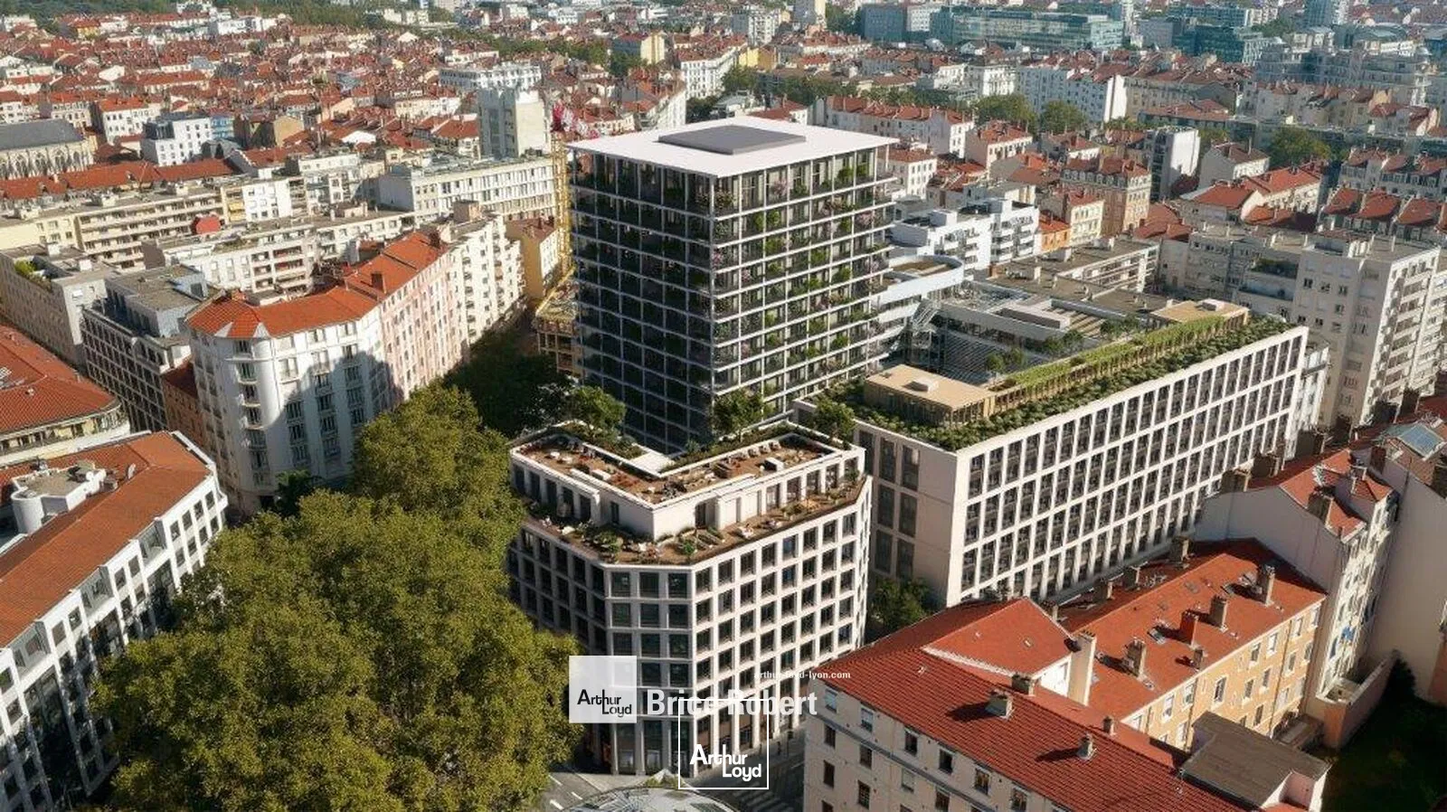 Locaux commerciaux - Location - LYON - 69006 - 195.88-429 - 7727171