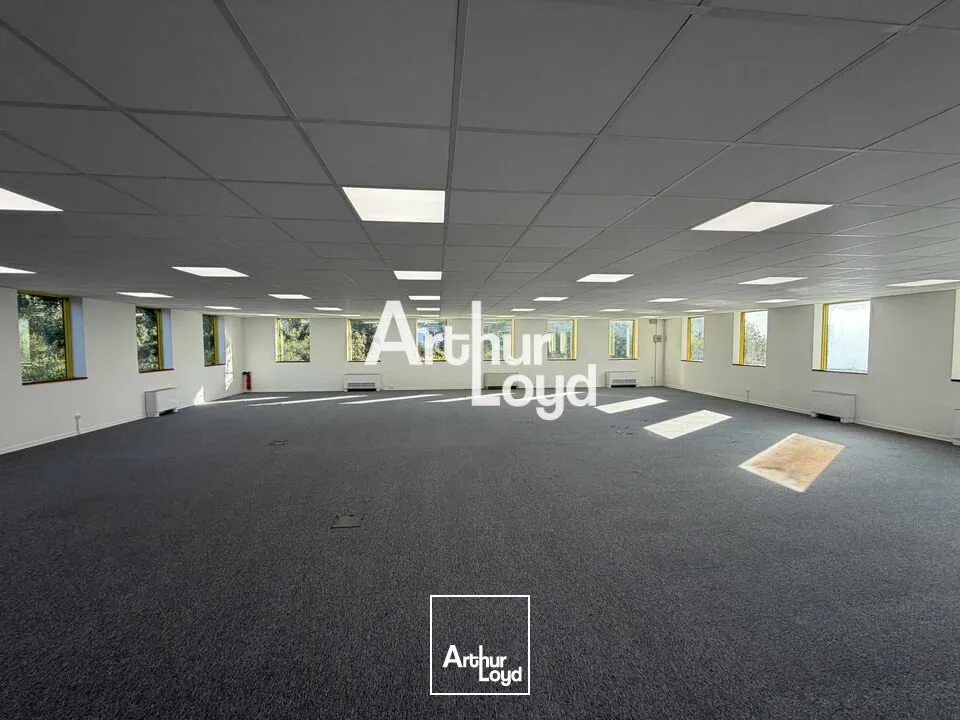Bureaux - Vente - ANTIBES - 06600 - 227-682 - 7727282