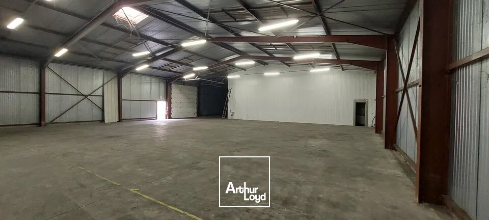 Locaux d'activité & Entrepôts - Location - DUTTLENHEIM - 67120 - 400-400 - 7727343