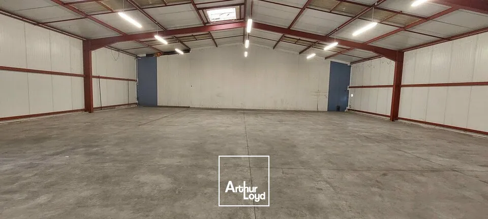 Locaux d'activité & Entrepôts - Location - DUTTLENHEIM - 67120 - 400-400 - 7727345