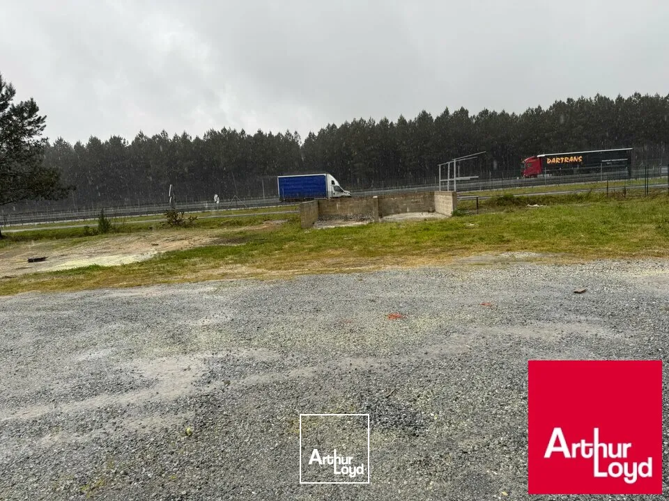 Locaux d'activité & Entrepôts - Location - MAGESCQ - 40140 - 620-620 - 7727383