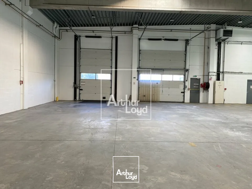 Locaux d'activité & Entrepôts - Location - CHILLY MAZARIN - 91380 - 1313-3980 - 7727460