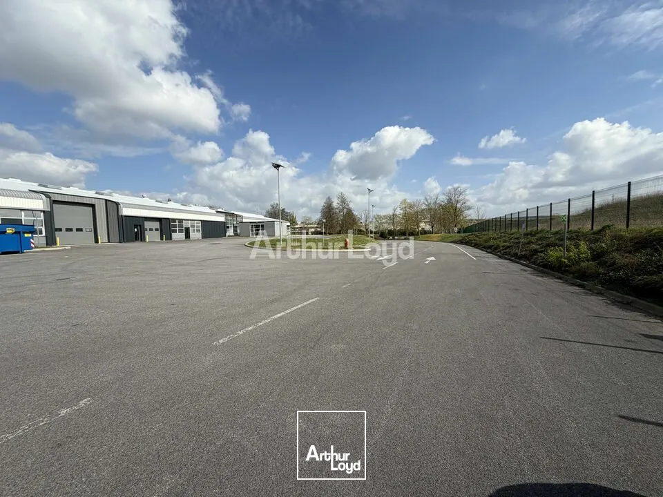 Locaux d'activité & Entrepôts - Location - REIMS - 51100 - 1968-1968 - 7727507