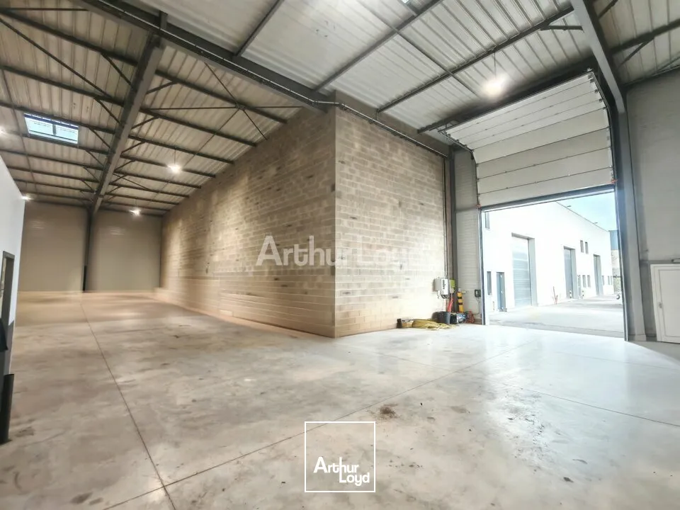 Locaux d'activité & Entrepôts - Vente - CERNAY-LÈS-REIMS - 51420 - 350-350 - 7727522
