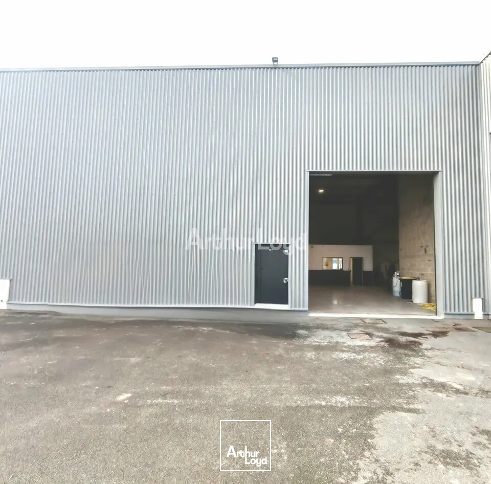Locaux d'activité & Entrepôts - Vente - CERNAY-LÈS-REIMS - 51420 - 350-350 - 7727521