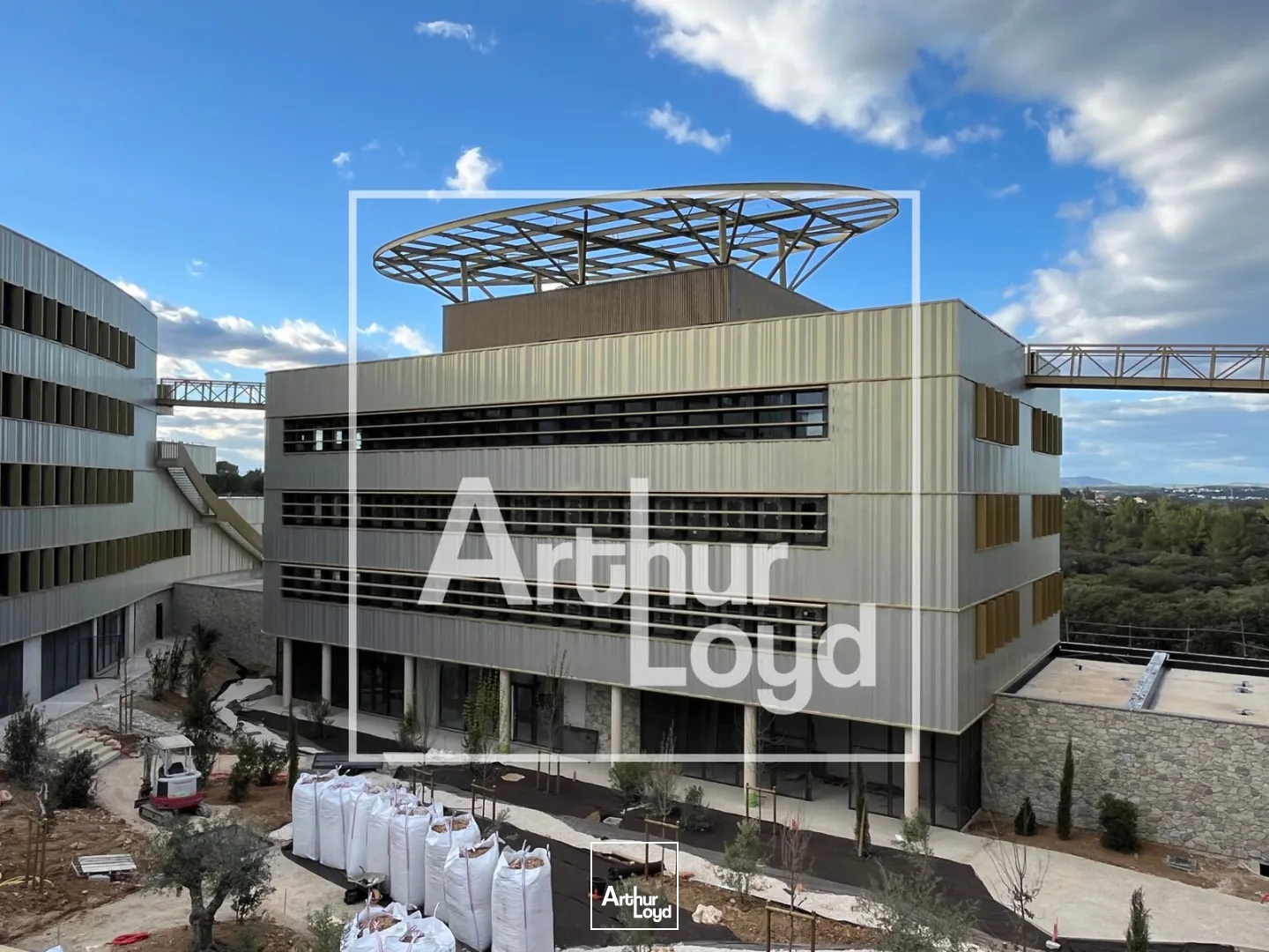 Bureaux - Vente - CASTELNAU LE LEZ - 34170 - 316.77-316.77 - 7727640