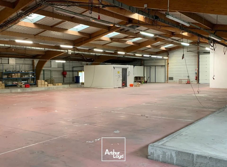 Locaux d'activité & Entrepôts - Vente - NERSAC - 16440 - 1812-1812 - 7727761