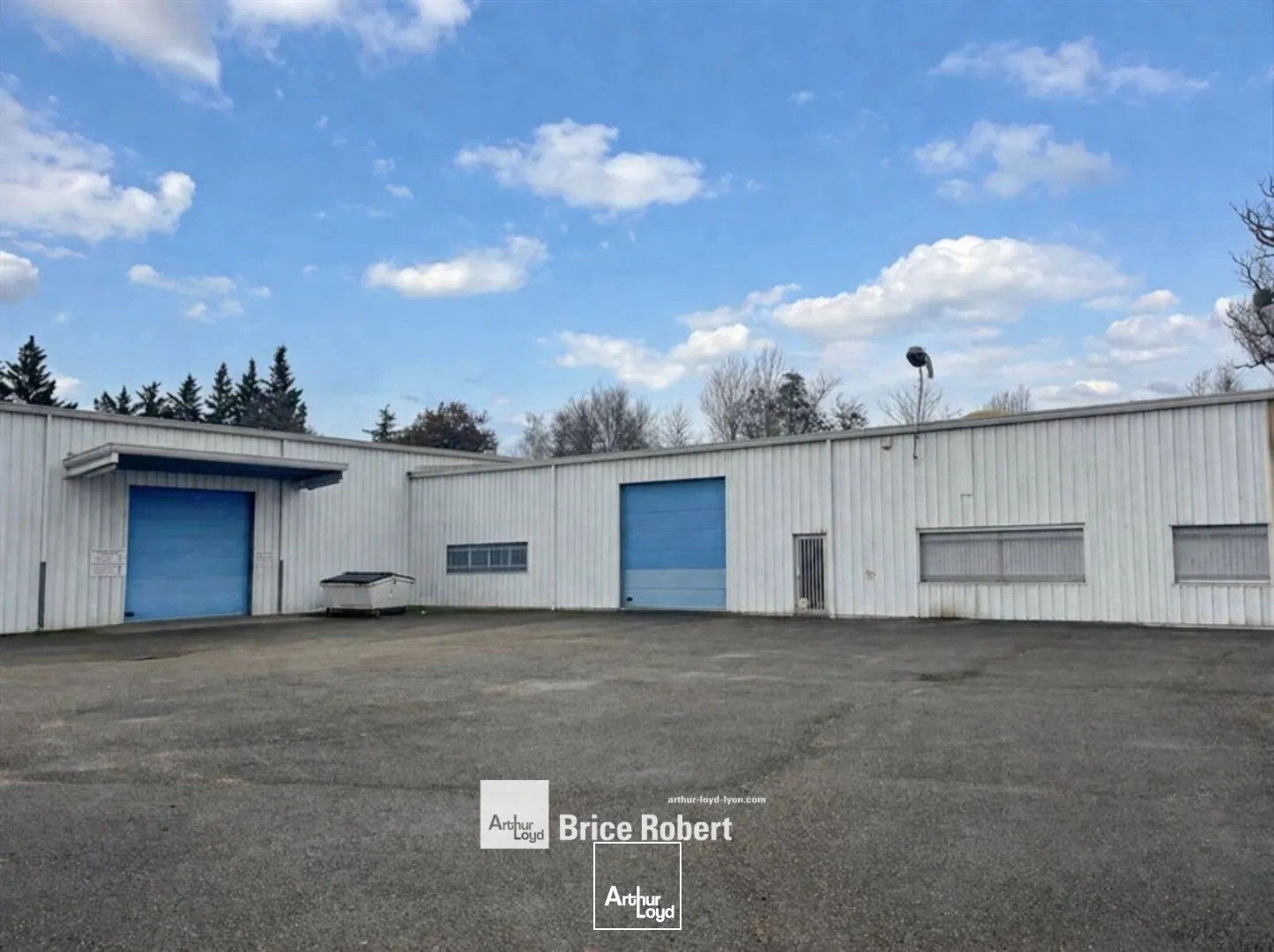 Locaux d'activité & Entrepôts - Vente - SAINT SYMPHORIEN D'OZON - 69360 - 1015-1015 - 7728012
