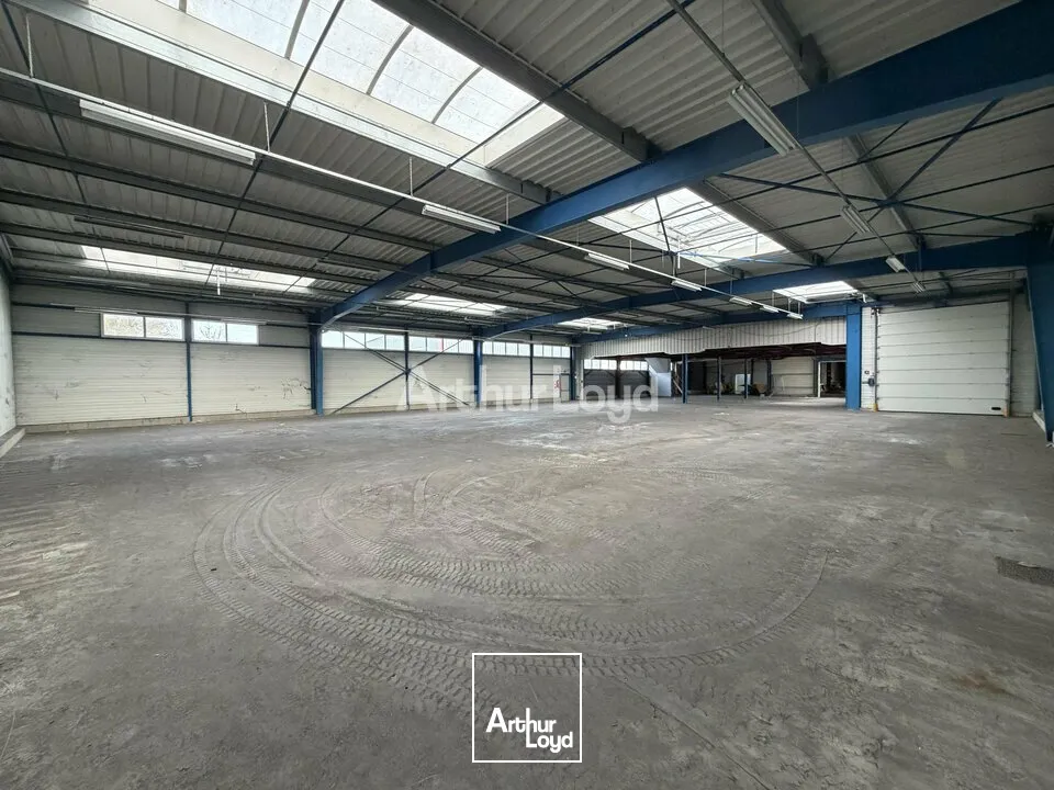 Locaux d'activité & Entrepôts - Vente - CORMONTREUIL - 51350 - 1744-1744 - 7728283