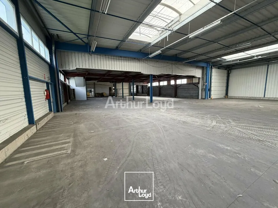 Locaux d'activité & Entrepôts - Vente - CORMONTREUIL - 51350 - 1744-1744 - 7728284
