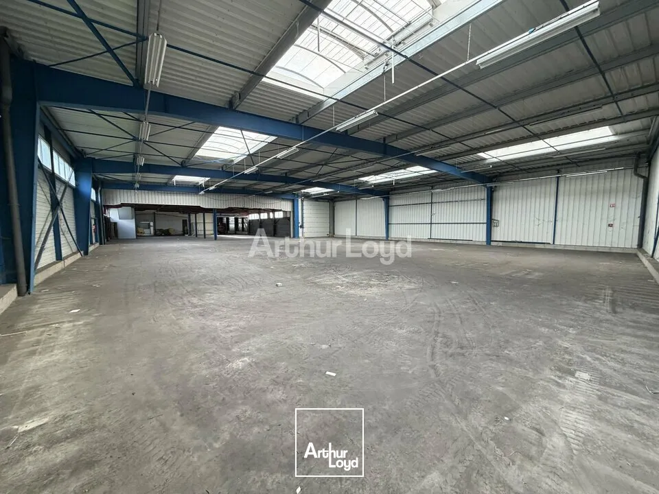 Locaux d'activité & Entrepôts - Vente - CORMONTREUIL - 51350 - 1744-1744 - 7728285