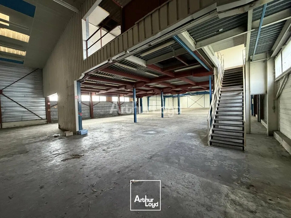 Locaux d'activité & Entrepôts - Vente - CORMONTREUIL - 51350 - 1744-1744 - 7728286