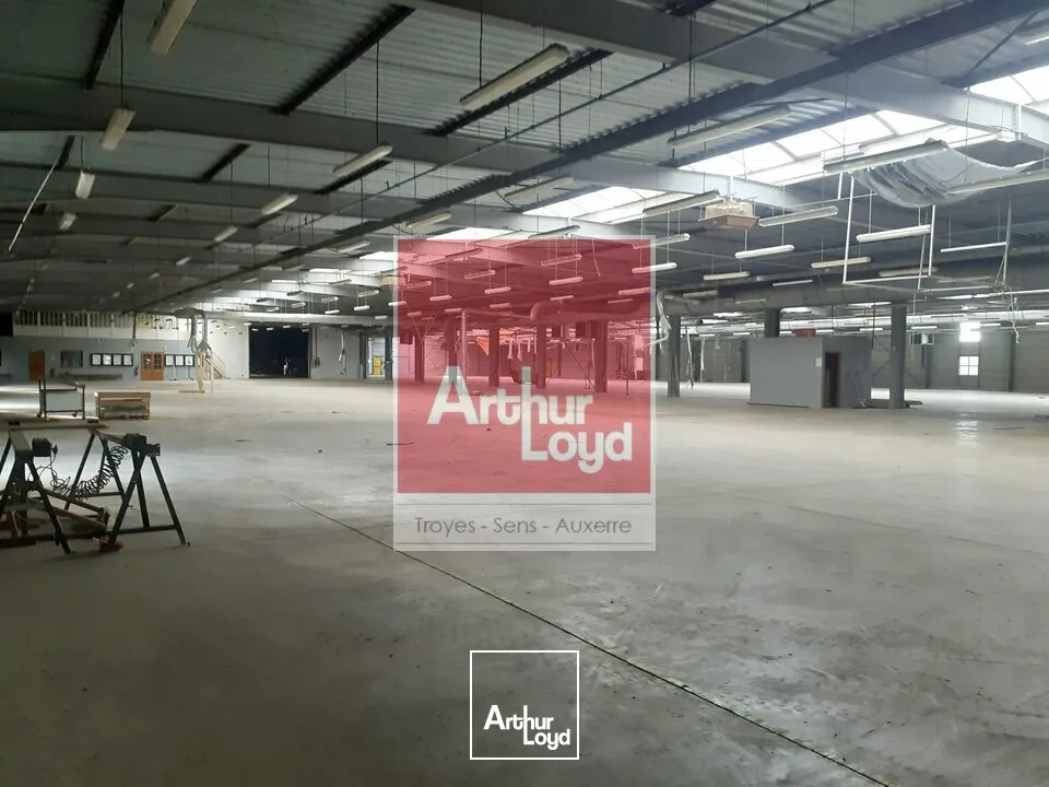 Locaux d'activité & Entrepôts - Vente - PINEY - 10220 - 6022-6022 - 7728295