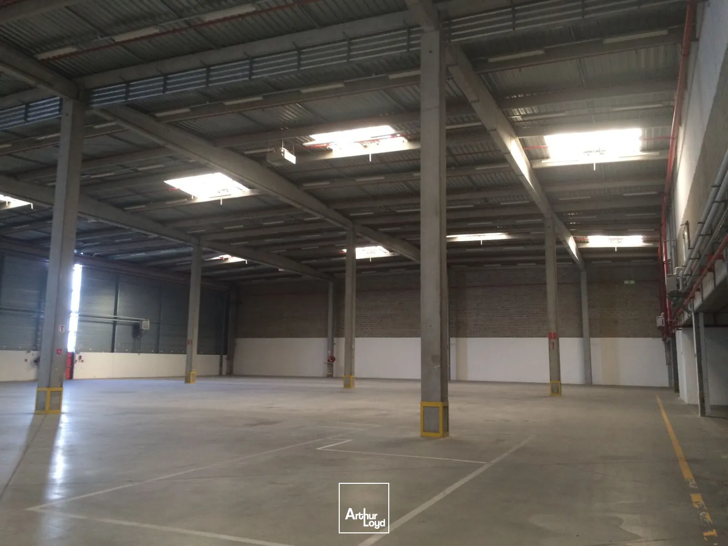 Locaux d'activité & Entrepôts - Location - SAINT OUEN L'AUMONE - 95310 - 5913-5913 - 7728681