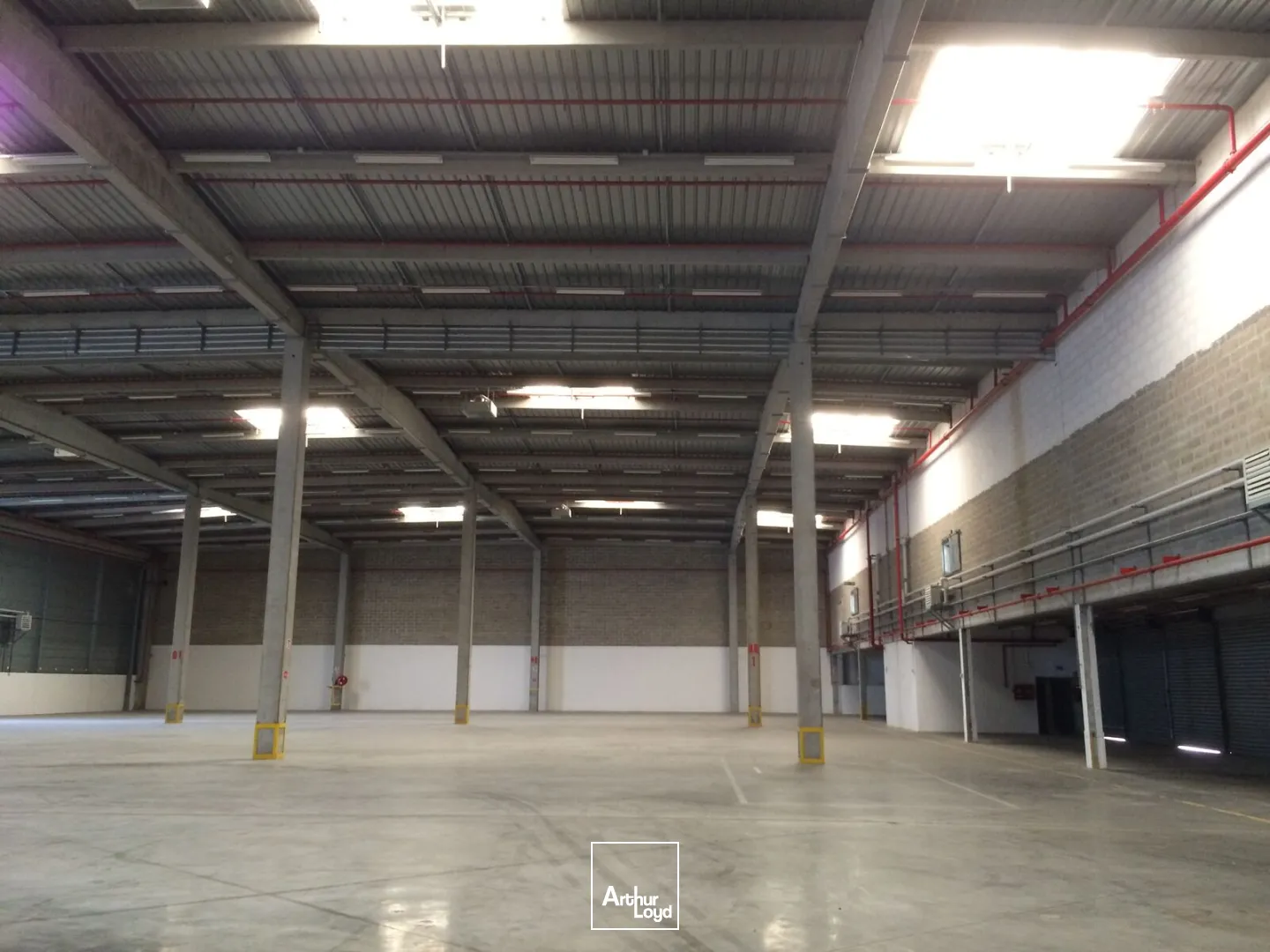 Locaux d'activité & Entrepôts - Location - SAINT OUEN L'AUMONE - 95310 - 5913-5913 - 7728680