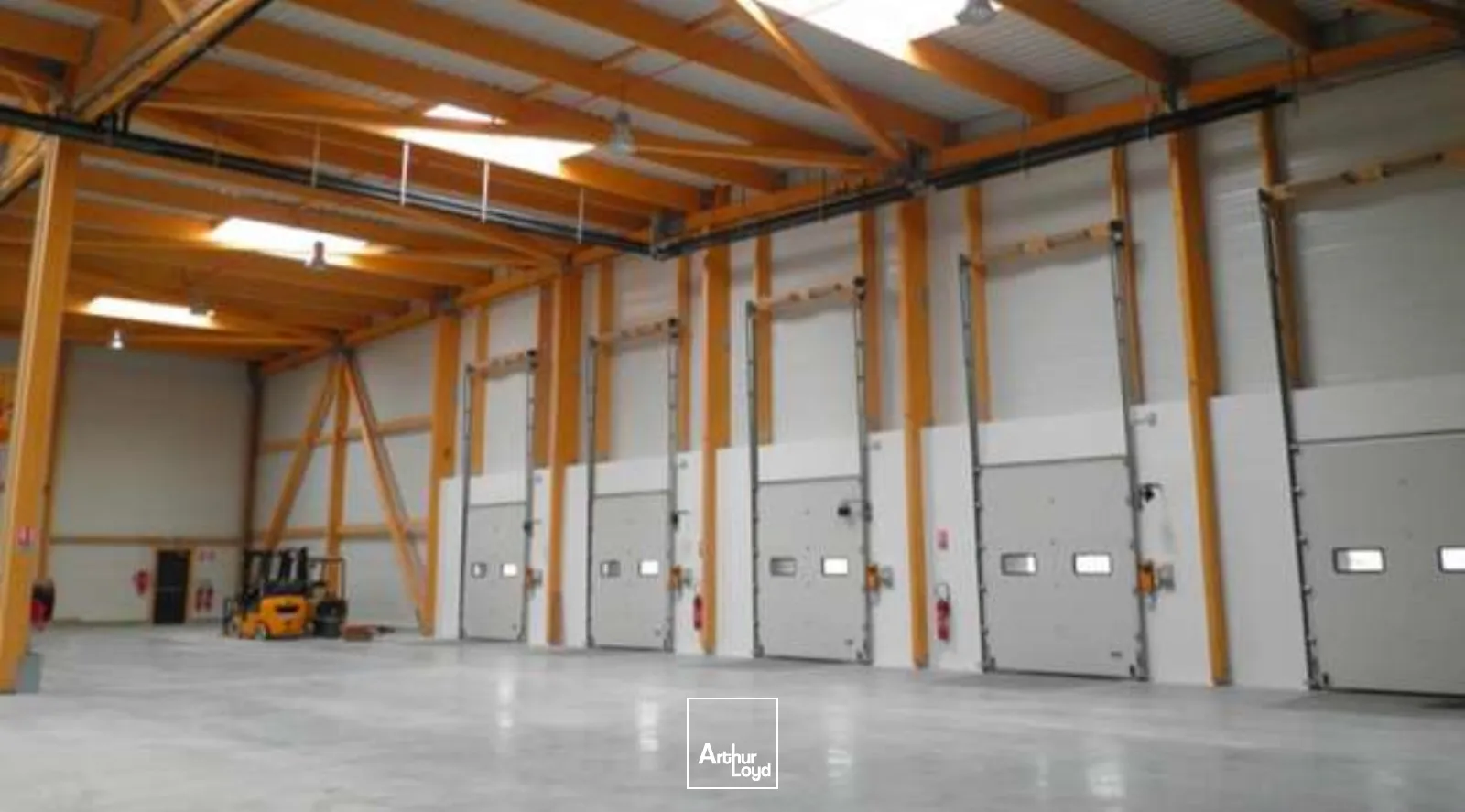 Locaux d'activité & Entrepôts - Location - LOUVRES - 95380 - 3374-3374 - 7728758